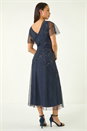 Navy  Petite Embroidered Mesh Layered Dress, Image 3 of 5