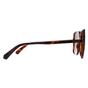 Brown Square Havana Bronze Polarized PLD 6219/S, Image 4 of 4
