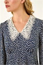 Navy  Dusk Lace Collar Spot Print Dress, Image 5 of 5