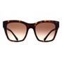 Brown Dolce and Gabbana Brown Square Havana Gradient Brown DG4384, Image 1 of 3