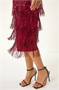 Red Sequin Tassel Flapper Midi Dress, Image 5 of 7