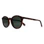 Brown Round Havana Green Polarized PLD 6233/S, Image 2 of 3
