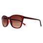 Red Ted Baker Red Square Burgundy Brown TB1440 Tari, Image 2 of 3