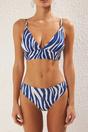 Multi Zebra Print Regular Waist Bikini Bottom with Clean Finish, Image 2 of 3