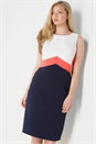 CORAL Colour Block Shift Dress, Image 1 of 4