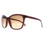 Brown Calvin Klein Brown Cat Eye Milky Brown Brown Gradient CK19565S, Image 2 of 4