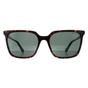 Brown Square Havana Green Polarized PLD 4163/S, Image 1 of 4