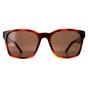 Brown Salvatore Ferragamo Brown Square Tortoise Brown SF959S, Image 1 of 4