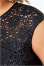 Black Sequin Lace Fit and Flare Dress, Image 5 of 5