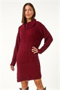 Wine Roll Neck Knitted Jumper Dress, Image 1 of 5