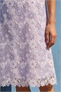 Lilac Petite Floral Lace Shift Dress, Image 4 of 4