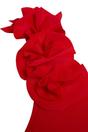 Red One Shoulder Bikini Set with Ruffle Detail and High Waist Bottom, Image 3 of 4