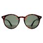 Brown Montana Brown Round Turtle G15 Polarized MP20, Image 1 of 4