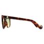 Brown Round Dark Havana  Green ML0119, Image 3 of 4