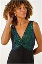 Green Contrast Sequin Bodice Maxi Dress, Image 4 of 5