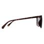 Brown Square Havana Green Polarized PLD 4163/S, Image 4 of 4