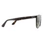  Round Tortoise Green Classic G-15 Sunglasses, Image 4 of 4
