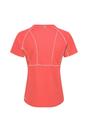 Peach Devote II Contrast Detail TShirt, Image 2 of 4