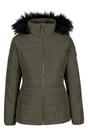 Dark Green Translate Padded Jacket, Image 1 of 4