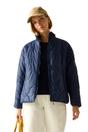 Navy Carlotte Quilted Padded Jacket, Image 4 of 5