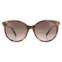Brown Swarovski Brown Round Dark Havana Brown Gradient Sunglasses, Image 1 of 4